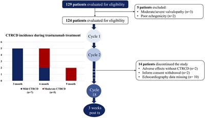 Features of trastuzumab-related cardiac dysfunction: deformation analysis outside left ventricular global longitudinal strain